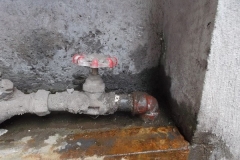 DSCF0101