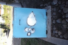 DSCF0107