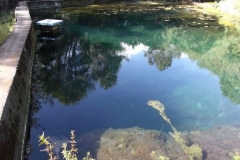 DSCF0113