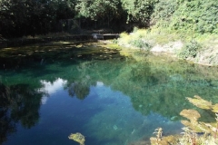 DSCF0114