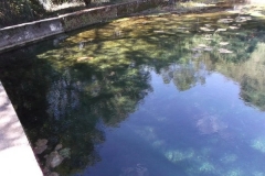 DSCF0115