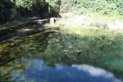 DSCF0116