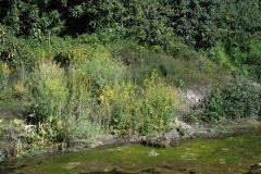 DSCF0119