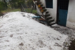 DSCF0358