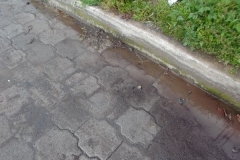 DSCF0461