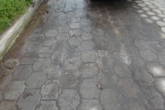 DSCF0462