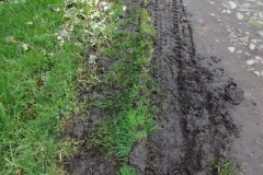 DSCF0468