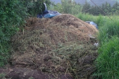 DSCF0473