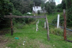 DSCF0474