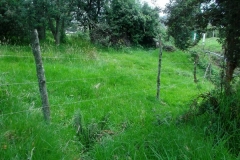 DSCF0475