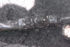 DSCF0488