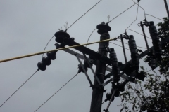 DSCF0523