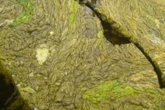 P1280227