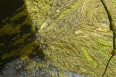 P1280228