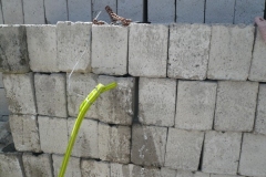 P1280235
